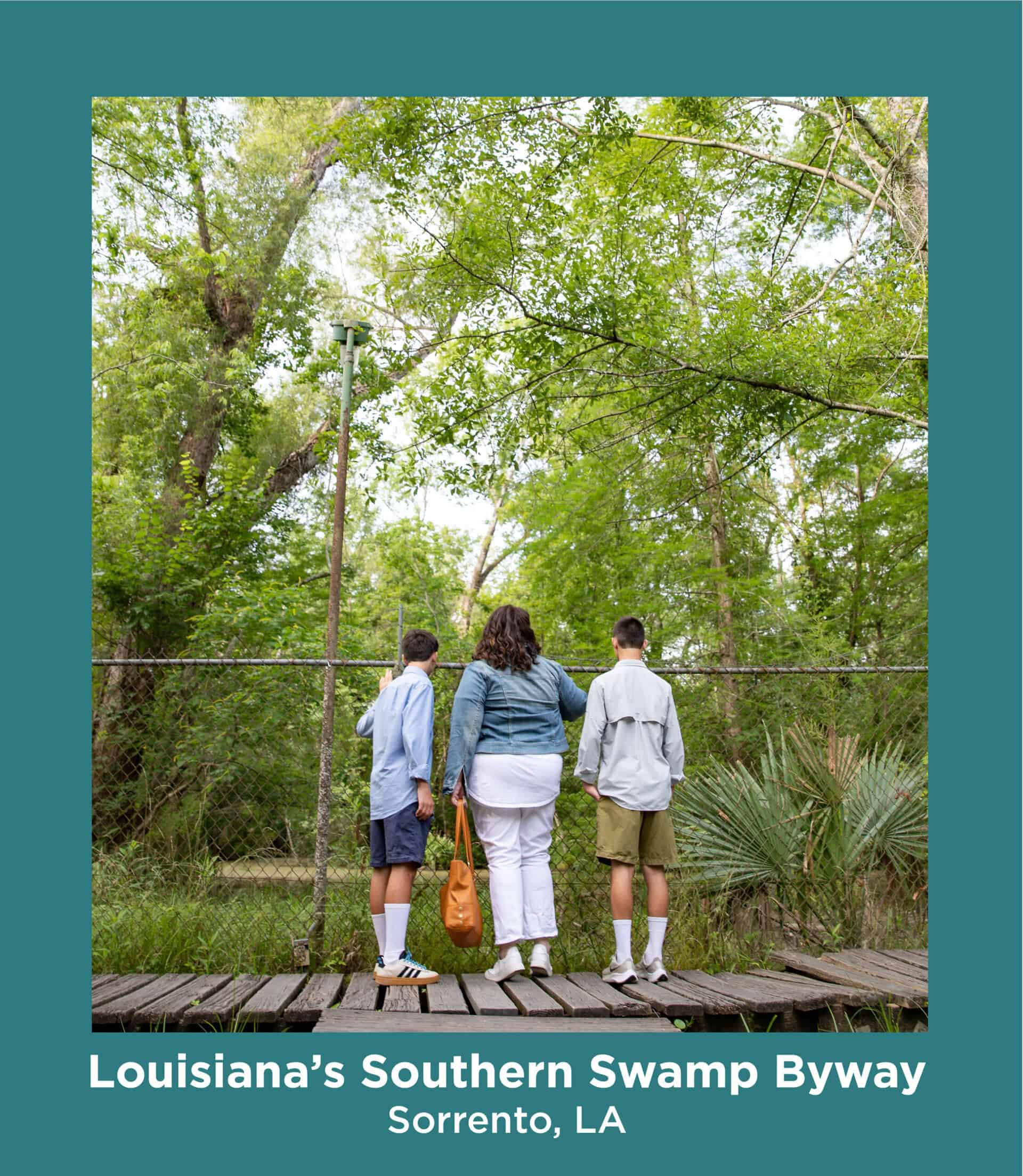 Southern Swamp