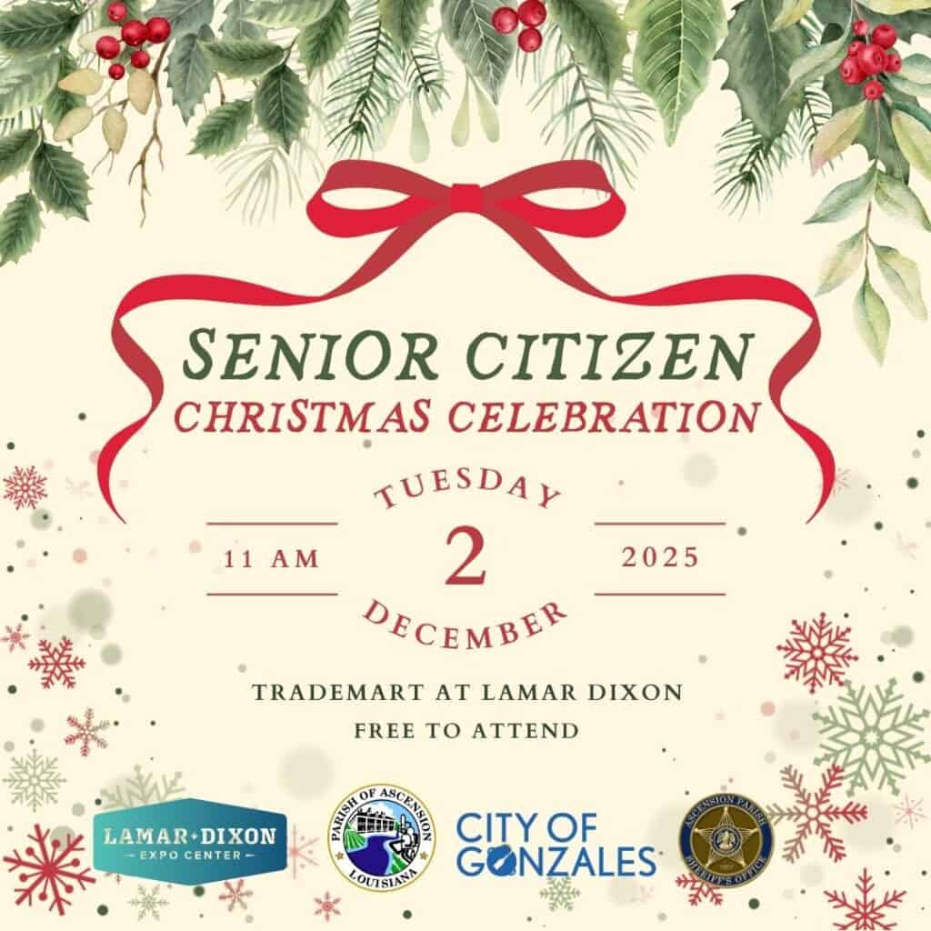 25 Senior Citizen Christmas