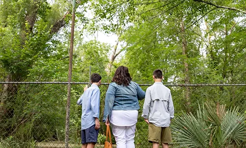 mother and two sons viewing the swamp from the boardwalk