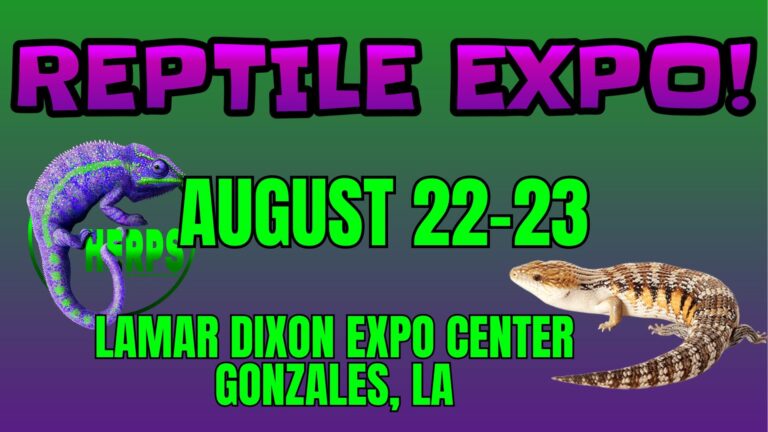 HERPS Exotic Reptile Show