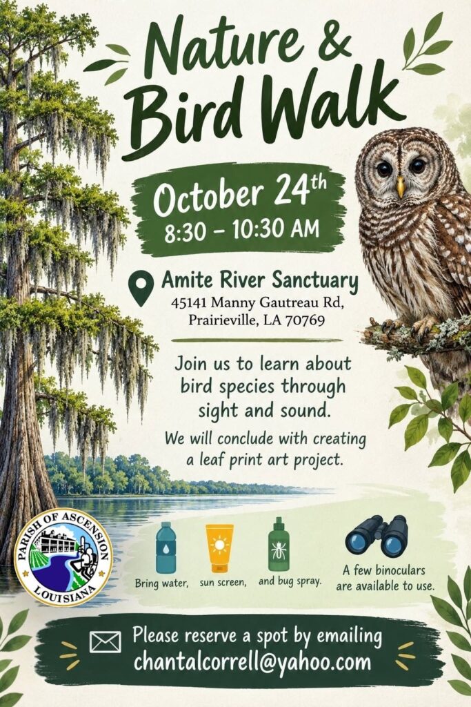 Nature and Bird Walk