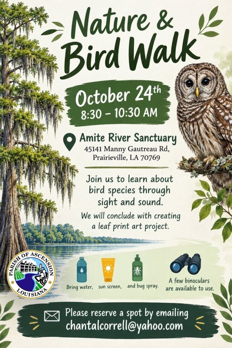 Nature and Bird Walk