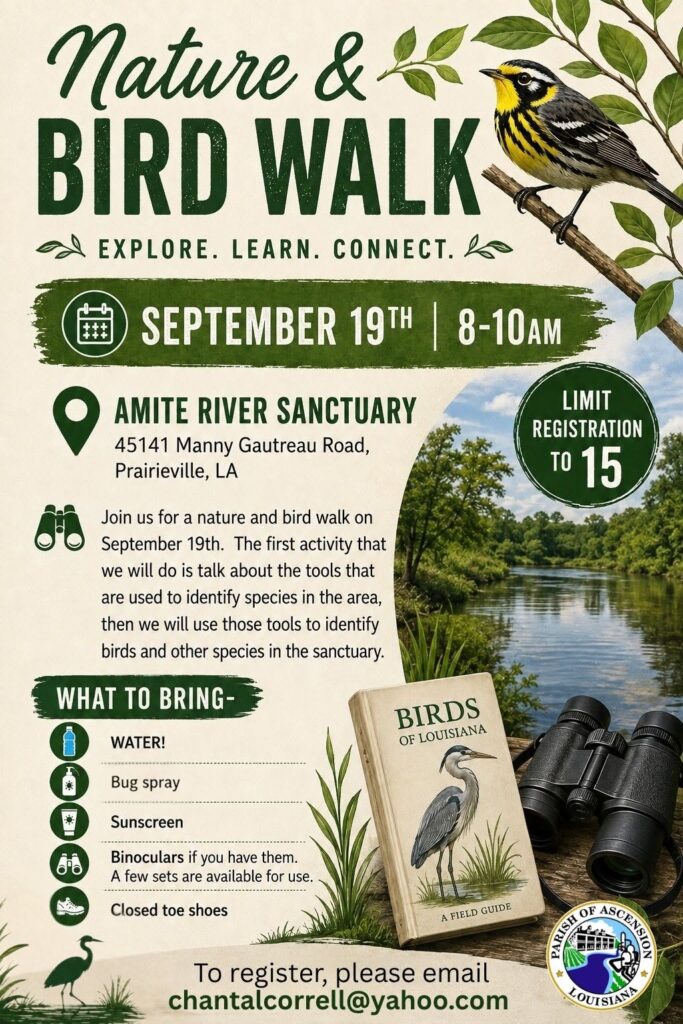 Nature and Bird Walk