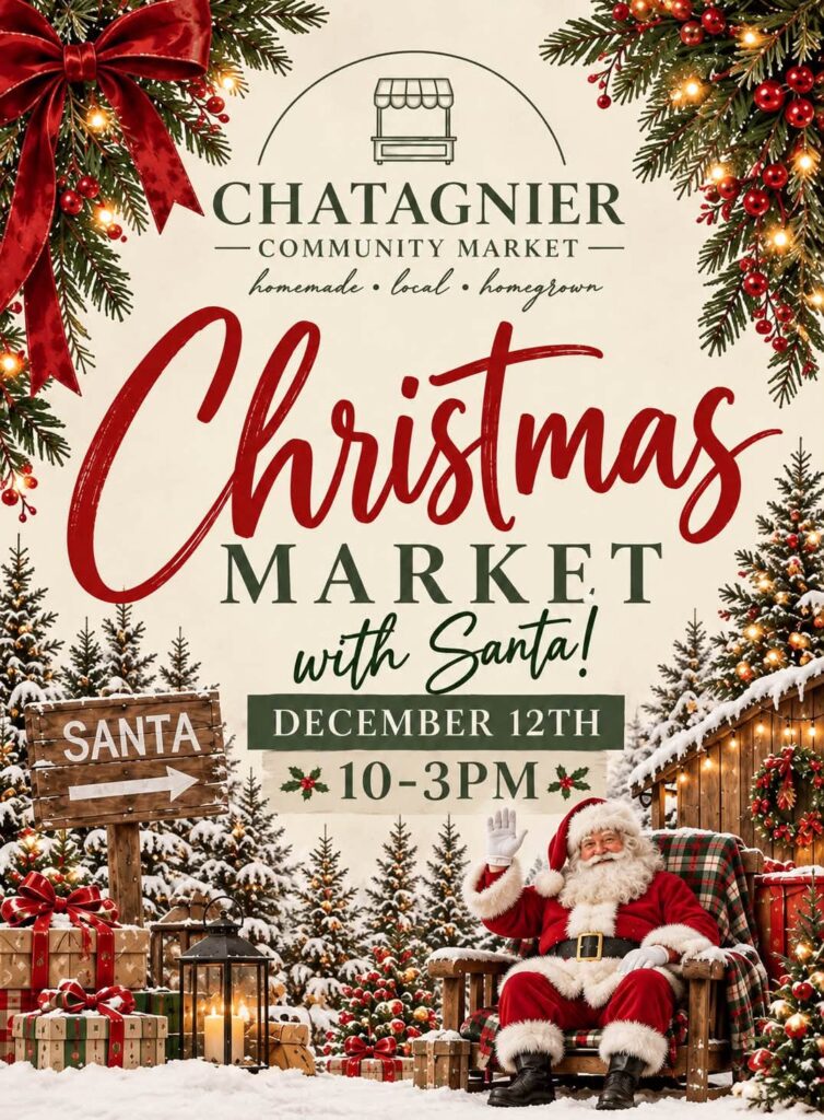 Christmas Market with Santa