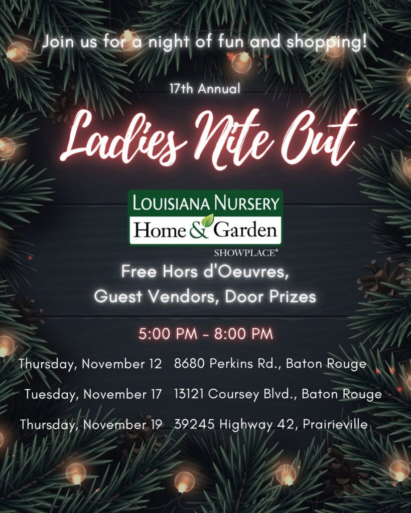 Ladies Nite Out